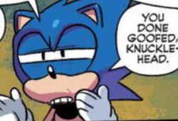 Sonic: you done goofed knucklehead